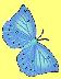 egreikishare butterfly